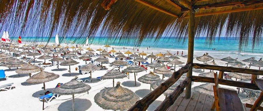 Joya paradise (5)