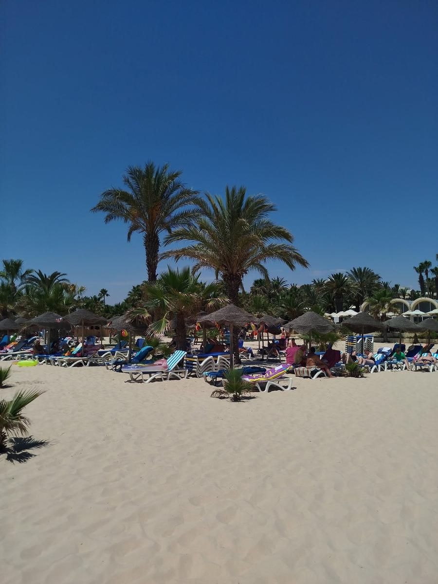 Le Paradis Palace (7)
