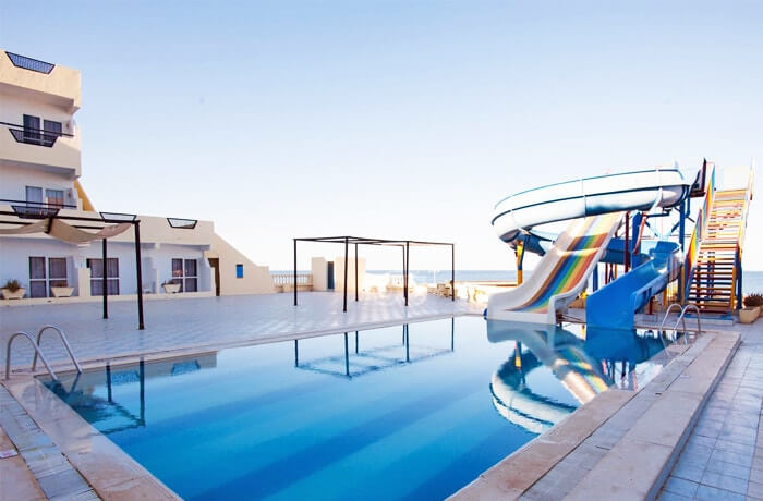 Tree-House Hotel (6)