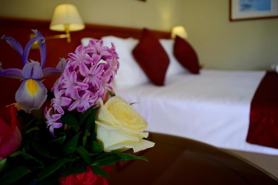 Golden Carthage Hotel (7)